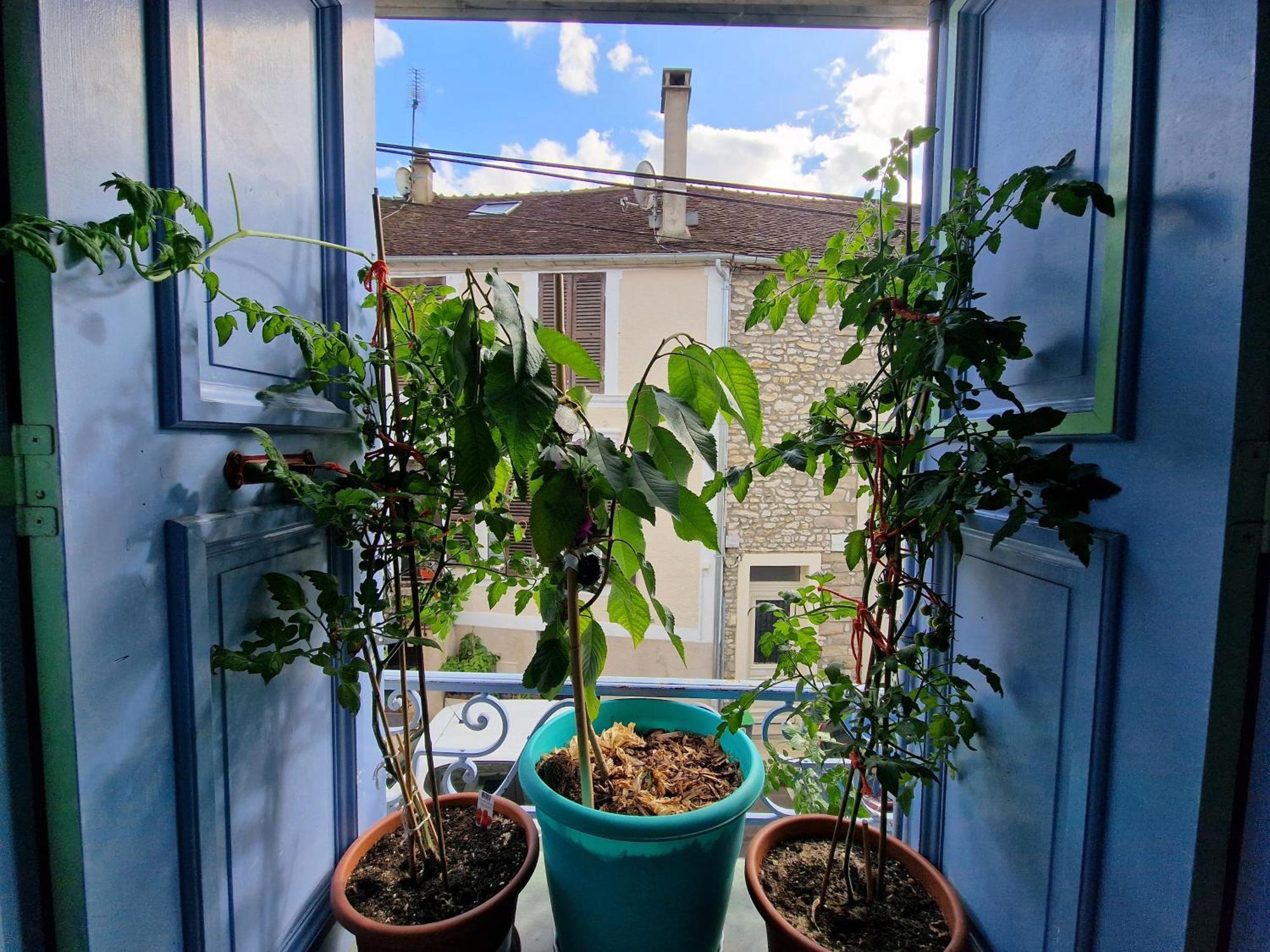 Chez Mamichou Apartamento Moret-sur-Loing Exterior foto